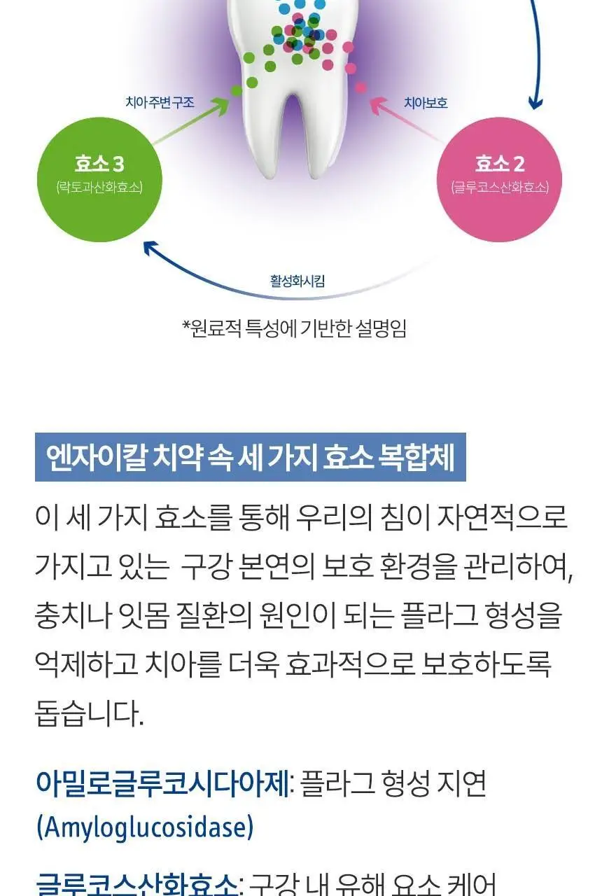 [고불소] 큐라덴 큐라프록스 엔자이칼 치약 1450 상세페이지 7
